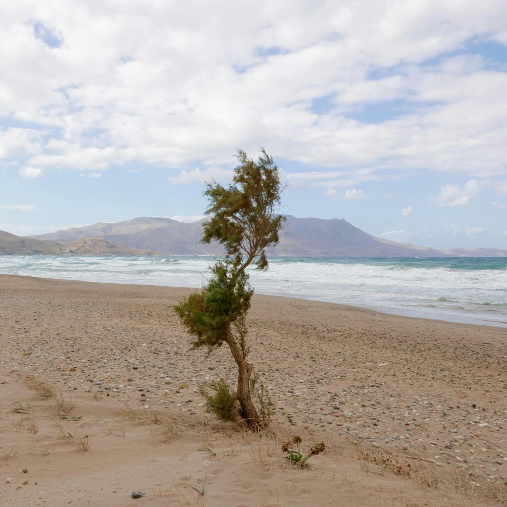 Tranquil Greek beach scene featuring a solitary tree, mountains, and gentle waves under a cloudy sky.